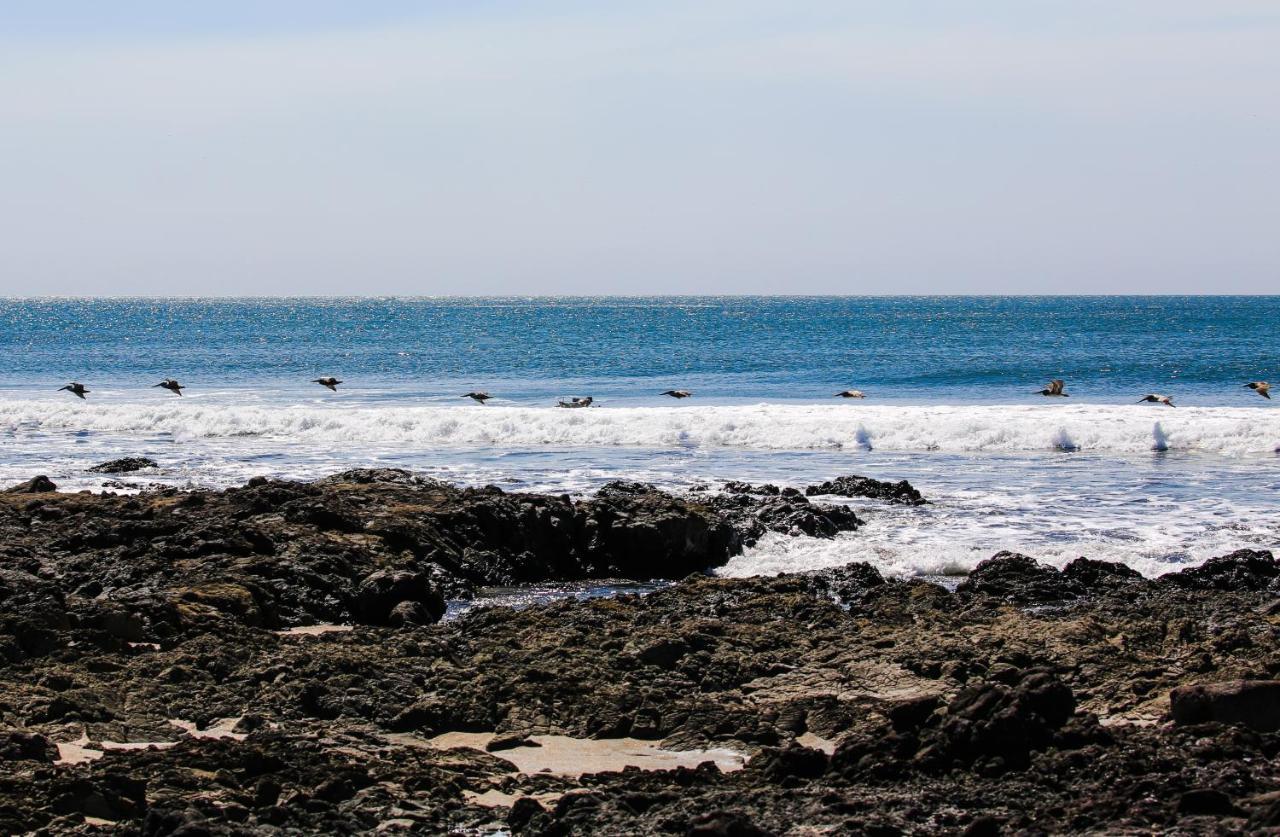 فندق Tapas & Surf Petacaltepe المظهر الخارجي الصورة