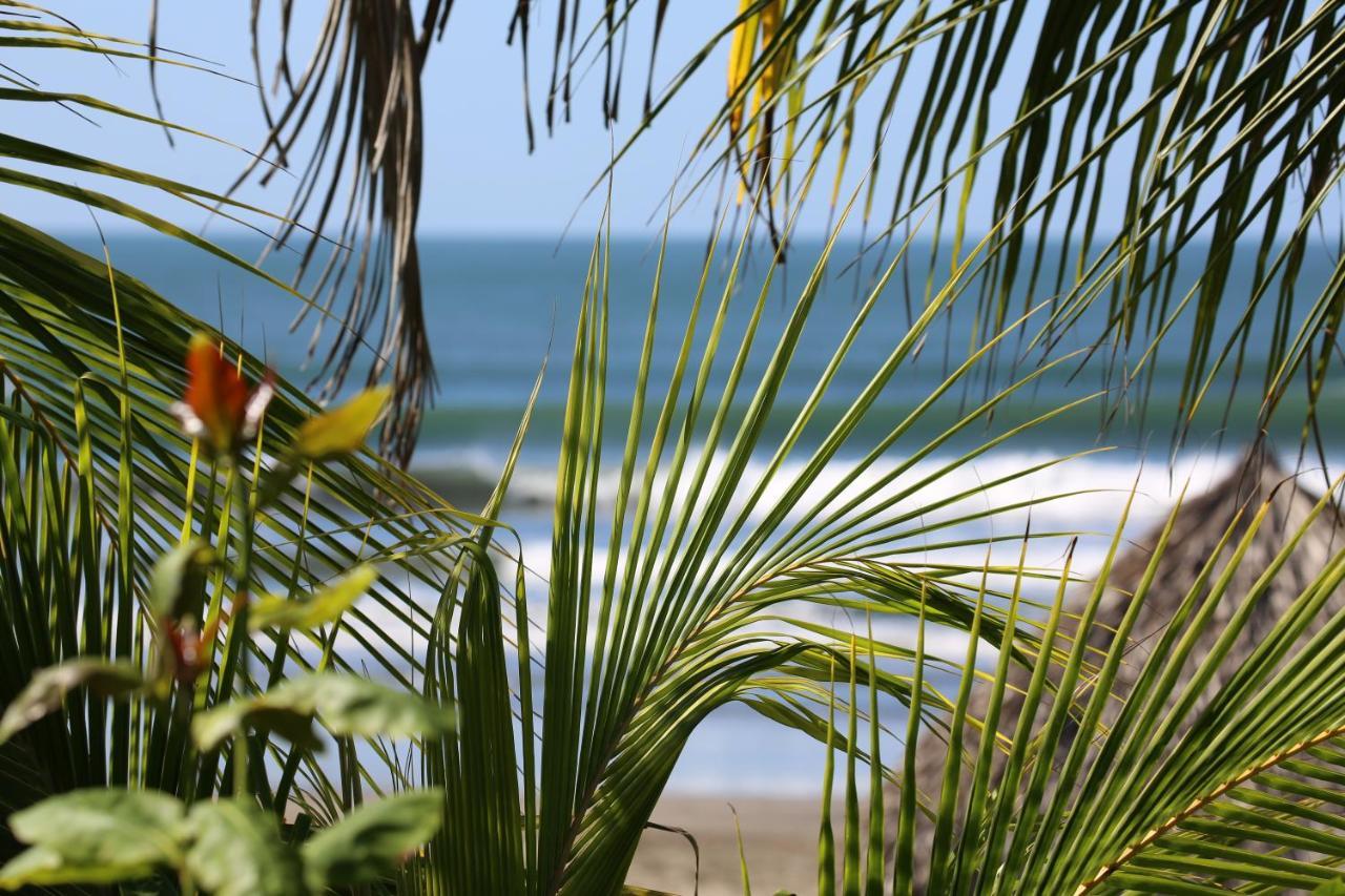 فندق Tapas & Surf Petacaltepe المظهر الخارجي الصورة
