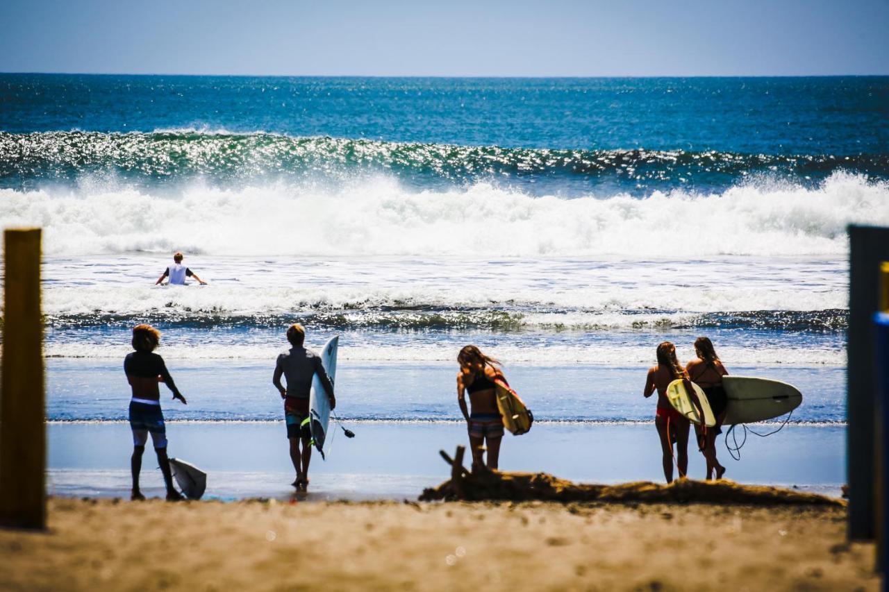 فندق Tapas & Surf Petacaltepe المظهر الخارجي الصورة