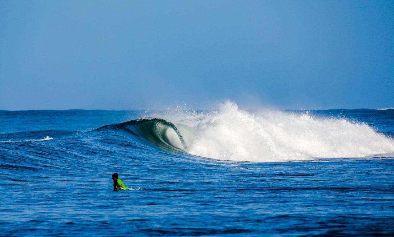فندق Tapas & Surf Petacaltepe المظهر الخارجي الصورة